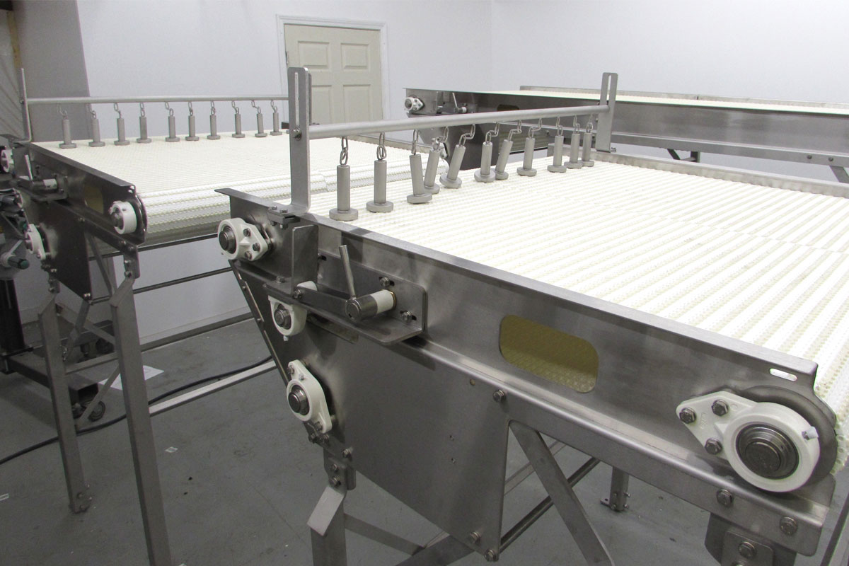 Conveyors Custom and Standard Solutions D&R Packaging